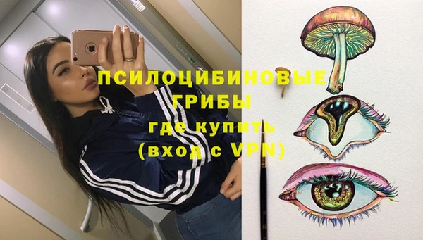 тгк Протвино