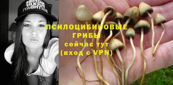 Альфа ПВП Абдулино